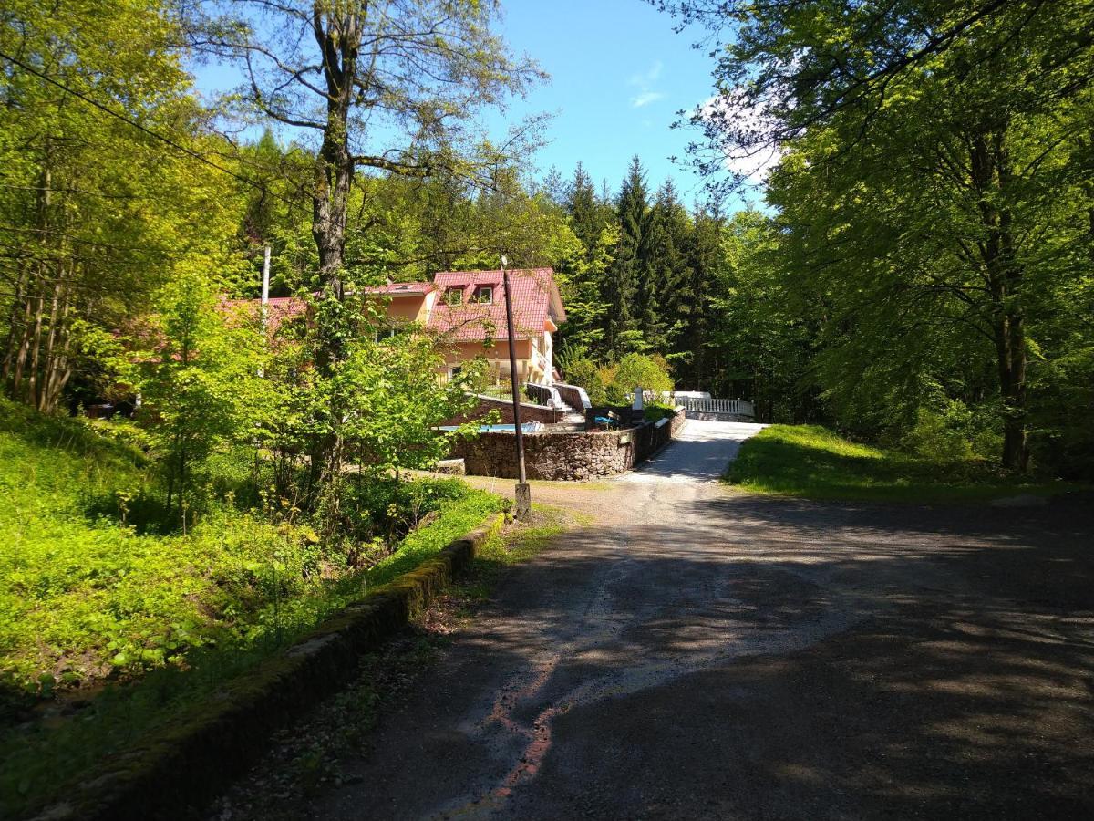 Dworek Lesny Kudowa Zdroj Luaran gambar