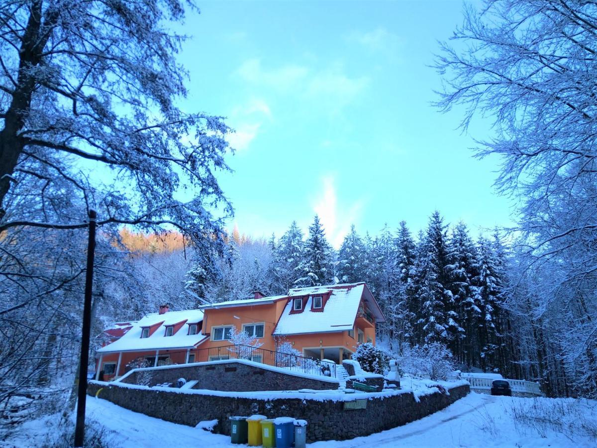 Dworek Lesny Kudowa Zdroj Luaran gambar