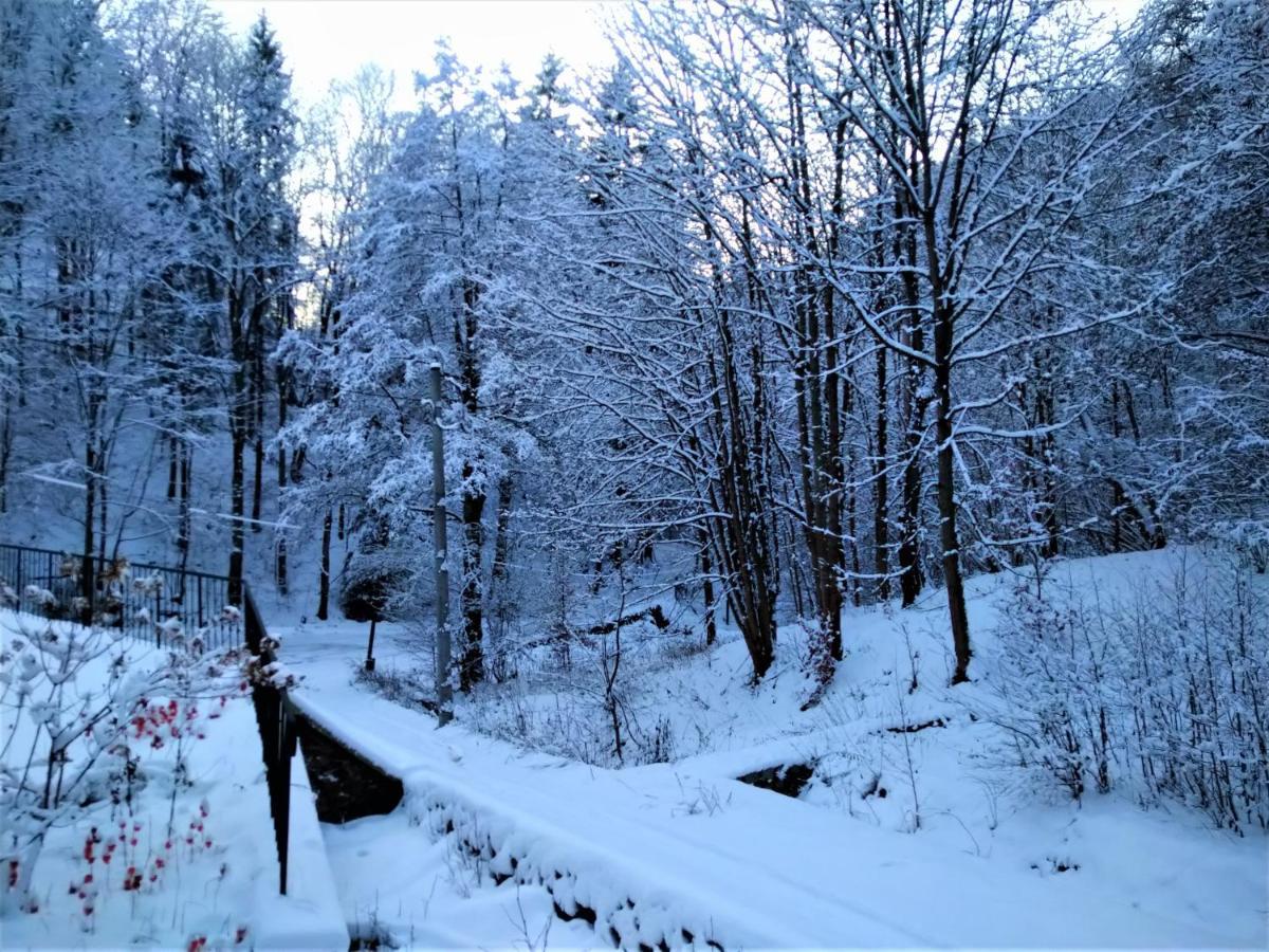 Dworek Lesny Kudowa Zdroj Luaran gambar